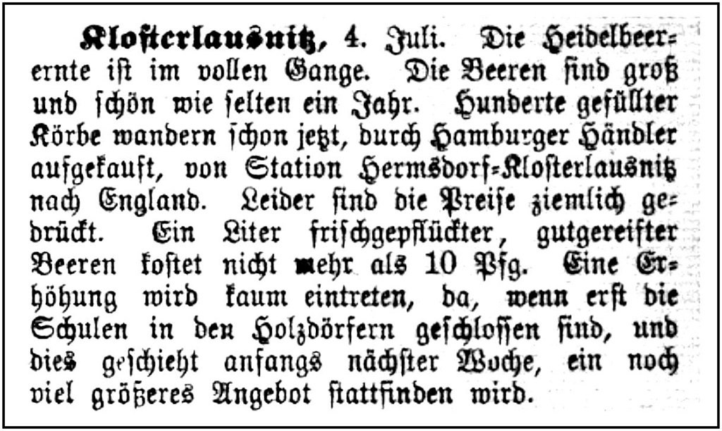 1888-07-04 Kl Heidelbeeren